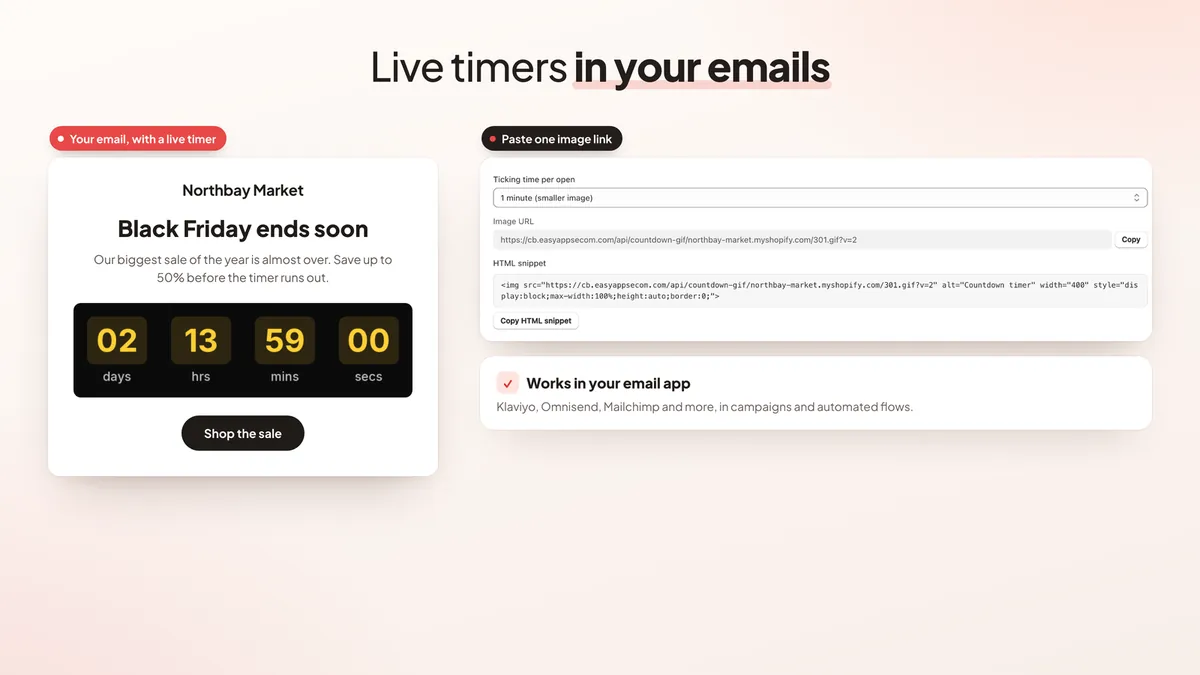 Live countdown timer inside a marketing email